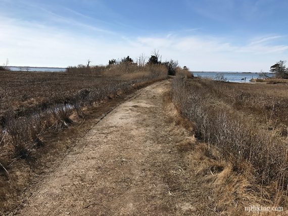 Spizzle Creek trail