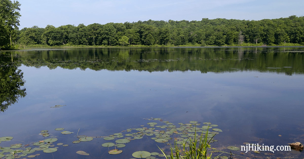 Hiking Deer Park Pond