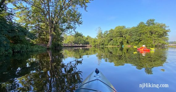 Kayaker on a lake surrounded by green trees.