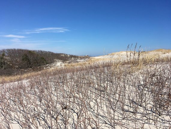 Sand dunes along Cranberry Trail