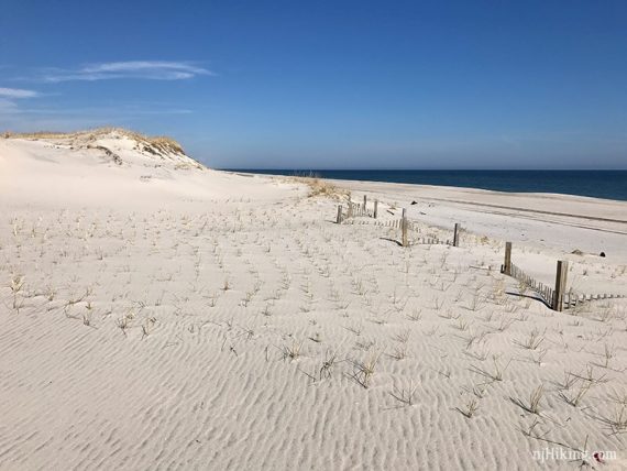 Wooden posts and grass sticking up from a large sandy beach