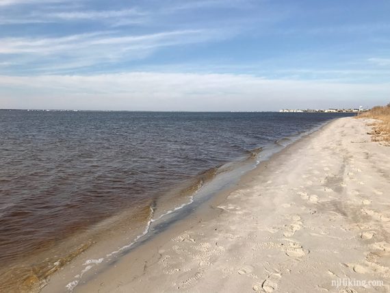 Sandy beach with houses in the distance