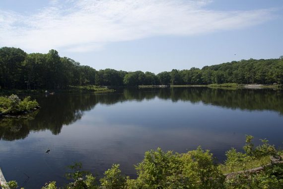 Saffin Pond