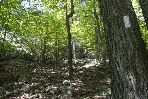 The Appalachian Trail