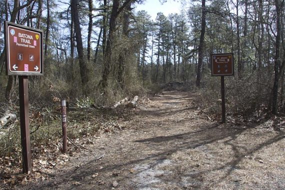 Mt Misery trail junction