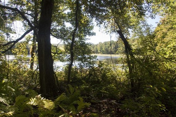 Kasmar Pond on the AT