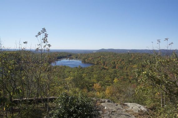 View from the WHITE trail