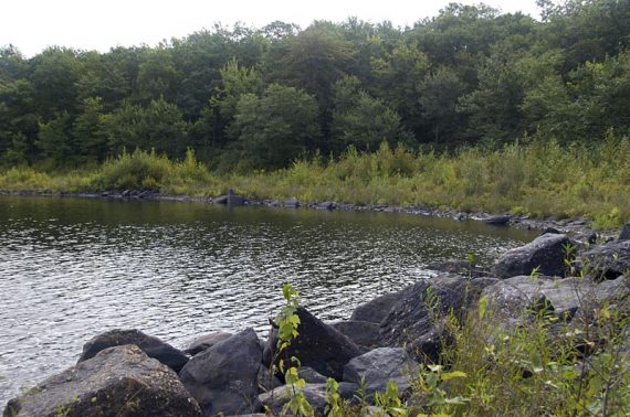 Hanks Pond from a spur trail