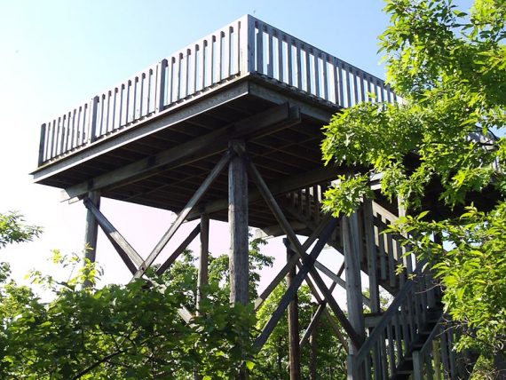 Elevated wooden viewing platform.