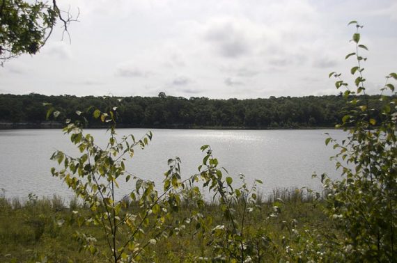 View of Hanks Pond along Hanks West trail.