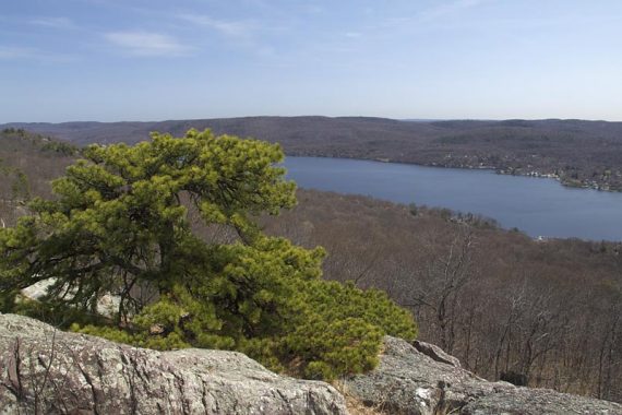 View of Greenwood lake from the ridge.