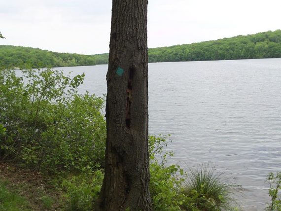 Echo Lake - Highlands Trail,