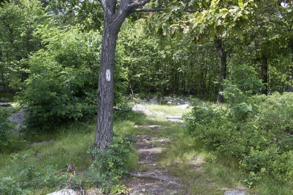Appalachian Trail.