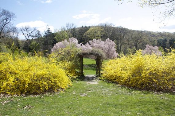 Skylands Manor gardens