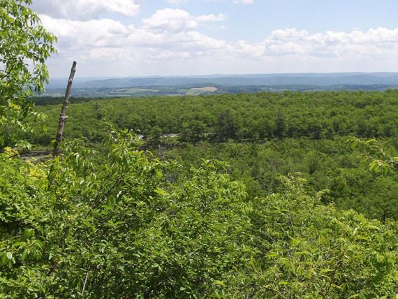 Forest and farm land in the distance seen from a viewpoint along the trail