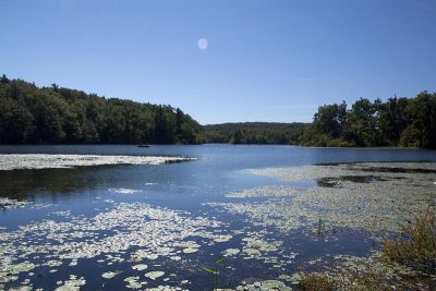 Wawayanda Lake