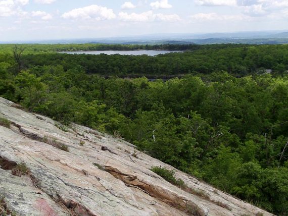 Angled rock face with forest and a lake in the distance