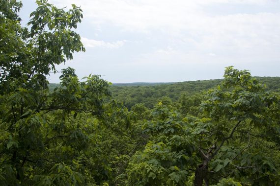 Overlook - there are two before Headley Overlook