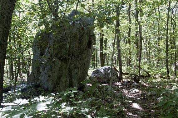 Large glacial eratic boulder