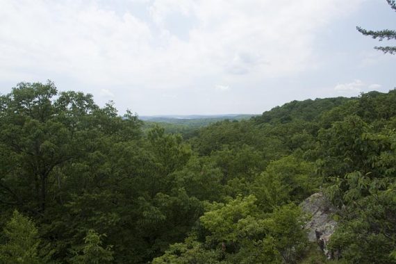 Headley Overlook