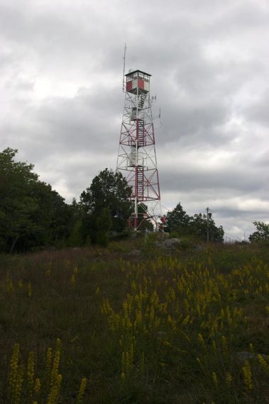 Bearfort Fire Tower