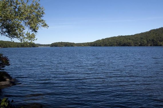 View of Wawayanda Lake from a spur trail off of Pumphouse.