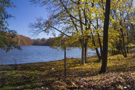 Boat launch area