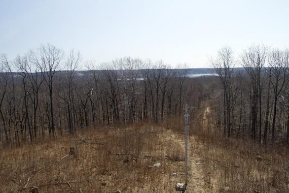 View from the fire tower