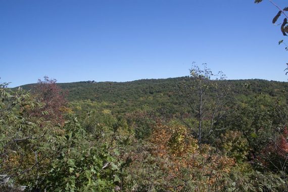 View from the Wanaque Ridge