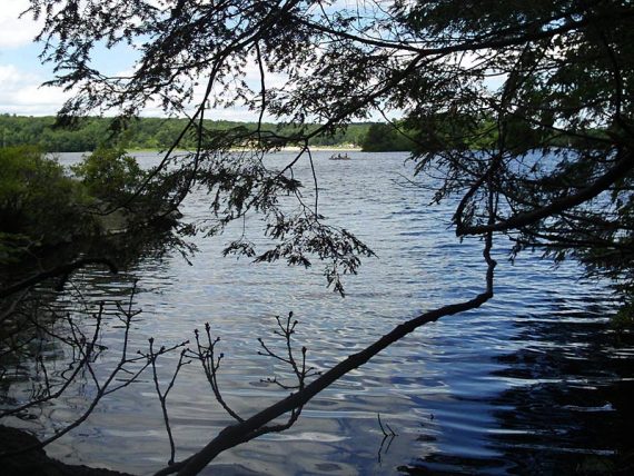 Wawayanda Lake from Sitting Bear