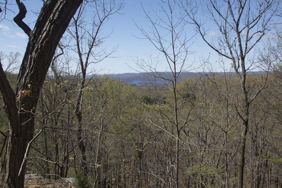 Limited view from Halifax Trail