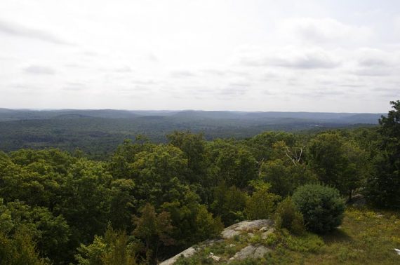 View from the tower