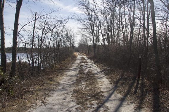 Mt Misery trail, approaching the cranberry bogs