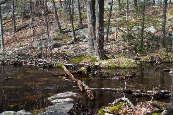 Stream crossing