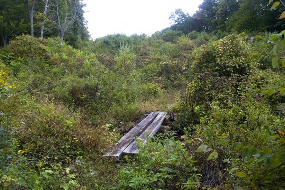 Crossing Beaver Brook