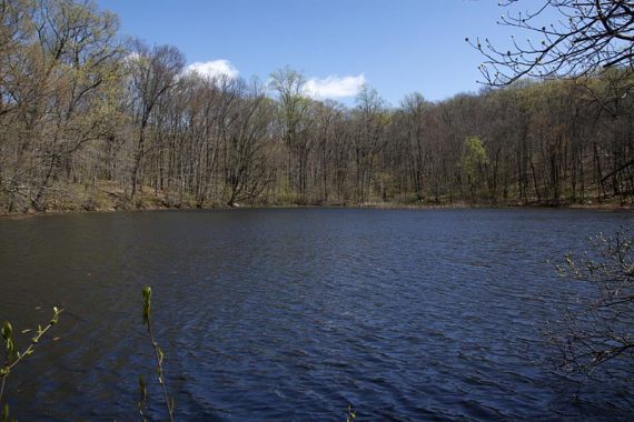 Glasmere Ponds