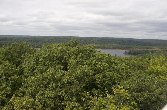 View of Cedar Pond to the west.