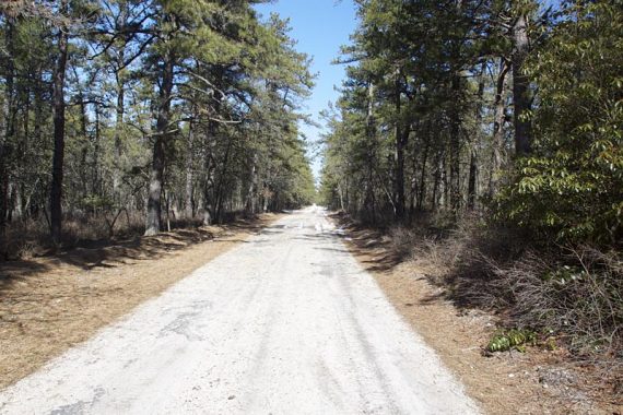 Sugar sand road.