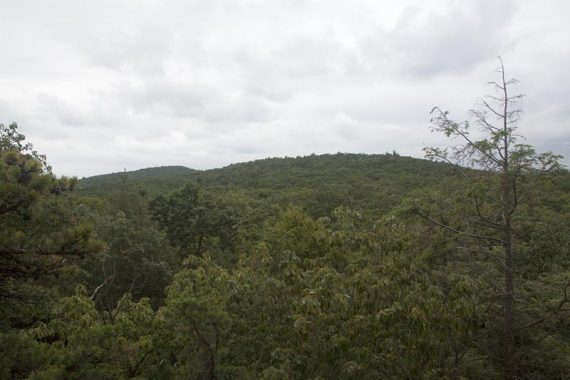 Overlook on BLUE/Highlands/Fire Tower Trail