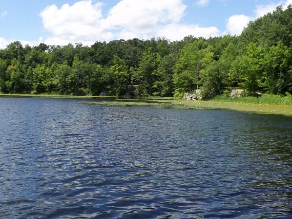 Wawayanda Lake