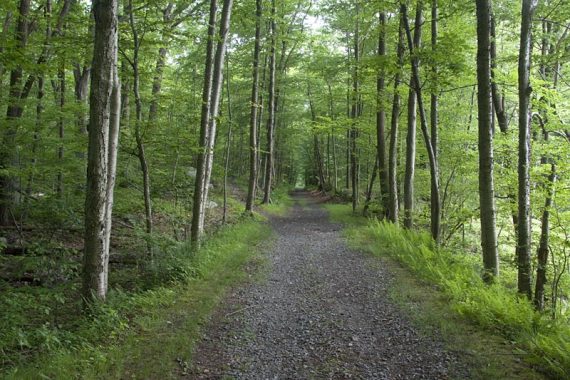 Ogden Mine Railroad rail trail 