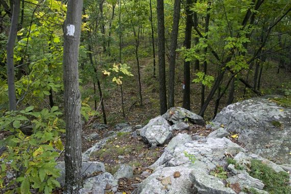 Beaver Brook Trail