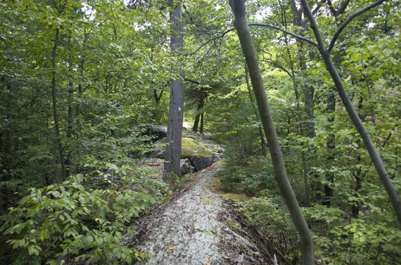 Hanks West trail