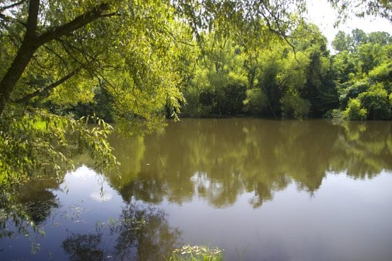 Farm Pond