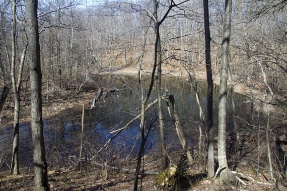 Small pond on White