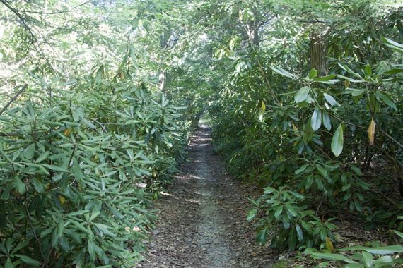 Double Pond Trail