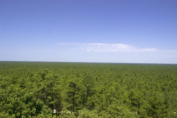 View from Apple Pie Hill fire tower