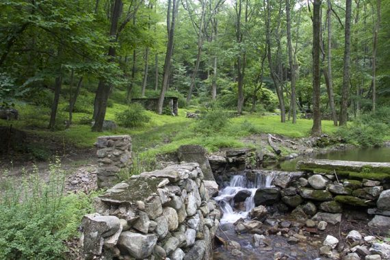 Remains of the old town of Doodletown.