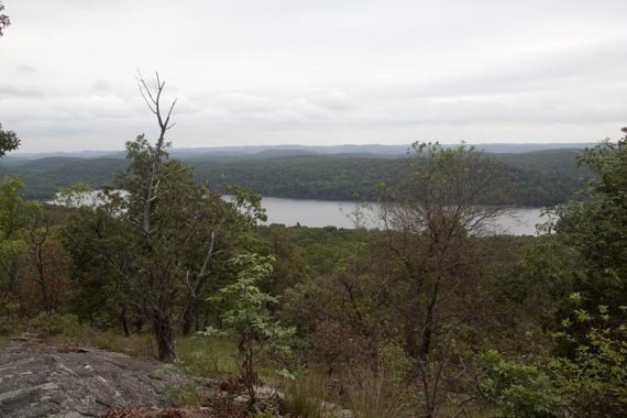 Viewpoint along Blue/Highlands