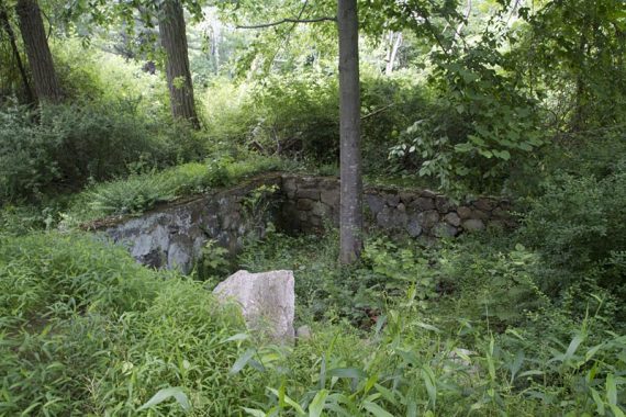 Building remains in Doodletown.
